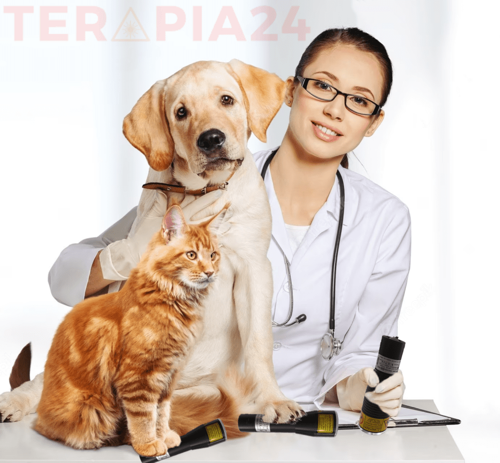 safe laser állatgyógyászat