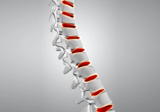 Az ízület felépítése és regenerációs lehetőségei terapia24 2