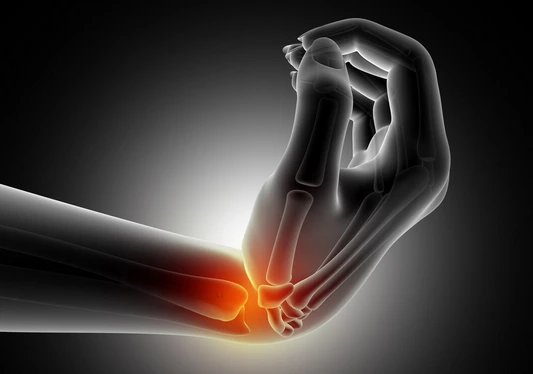 Az ízület felépítése és regenerációs lehetőségei terapia24 4